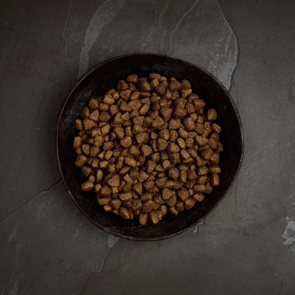 Canagan Free-Range Chicken dry dog food kibble in a bowl