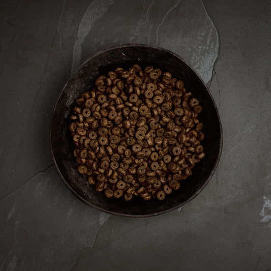 Canagan small breed dental dry dog food kibble in a bowl