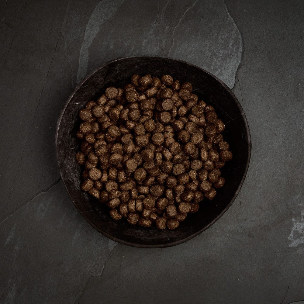 Canagan Highland Feast dry dog food kibble in a bowl