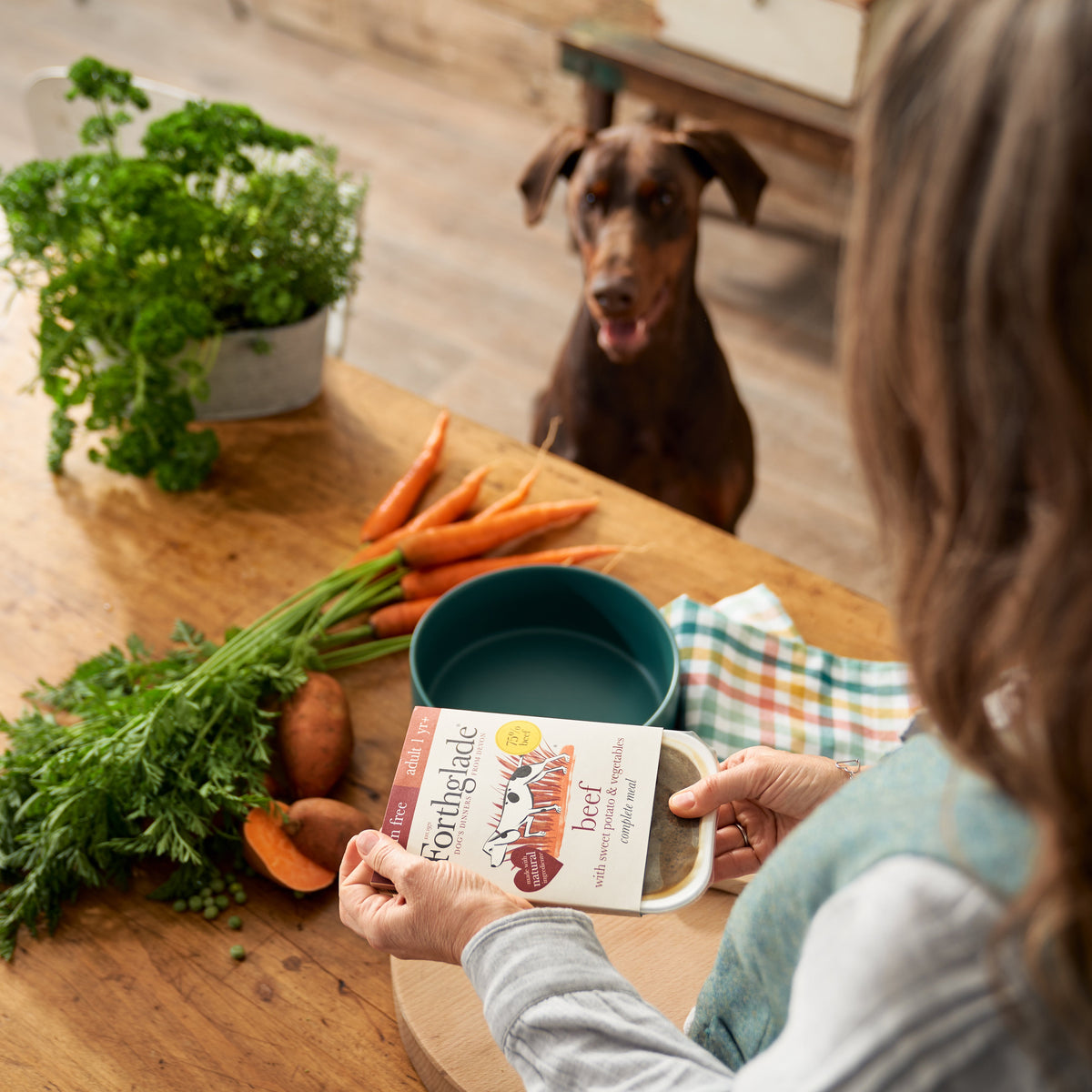 Forthglade grain free beef with sweet potato and vegetables tray being served to a dog