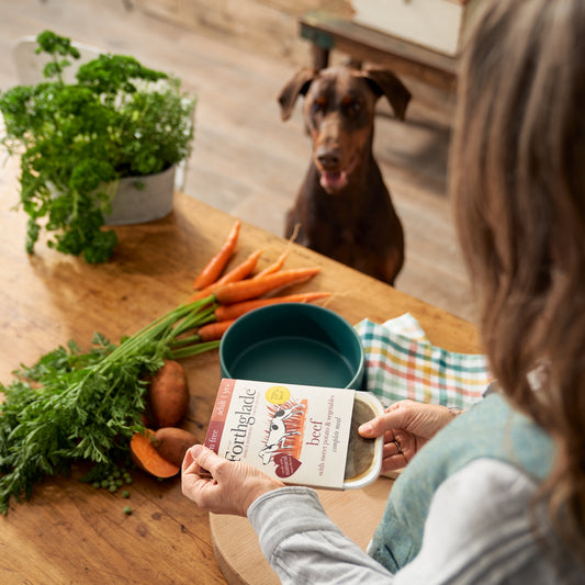 Forthglade grain free beef with sweet potato and vegetables tray being served to a dog