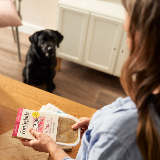 Forthglade grain free adult salmon with potato and vegetables tray being served to a black Labrador