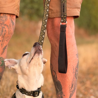 Neerdog Fern GO-CEE dog lead