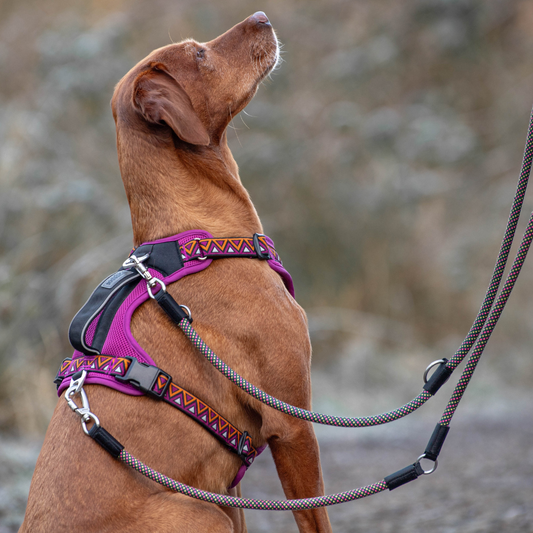 Neerdog GO-B-FLEXTRA multifunctional rope lead in green and pink