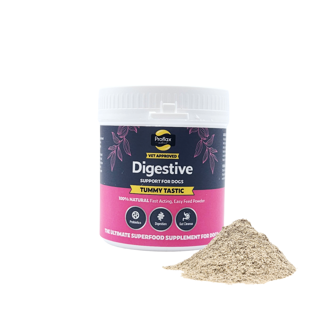 Proflax Pre & Probiotics for Dogs - Tummy Tastic 125g