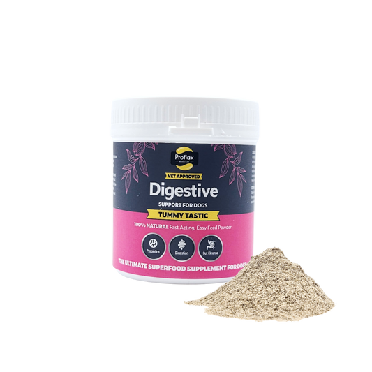 Proflax Pre & Probiotics for Dogs - Tummy Tastic 125g