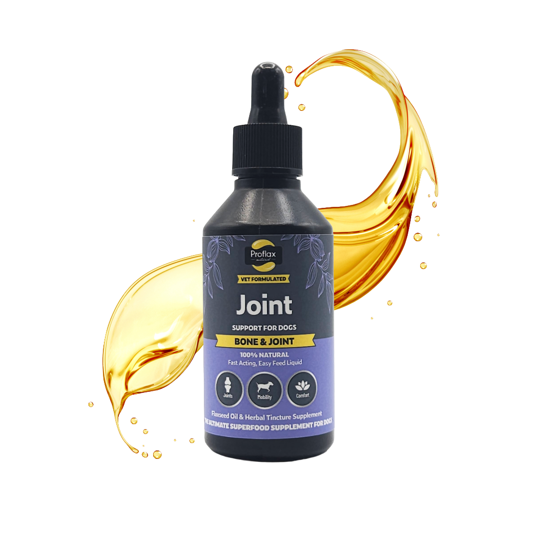 Proflax Bone & Joint 250ml liquid supplement for dogs