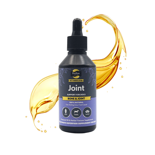 Proflax Bone & Joint 100ml liquid supplement for dogs