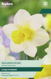 Taylors Bulbs Narcissus Golden Echo pack