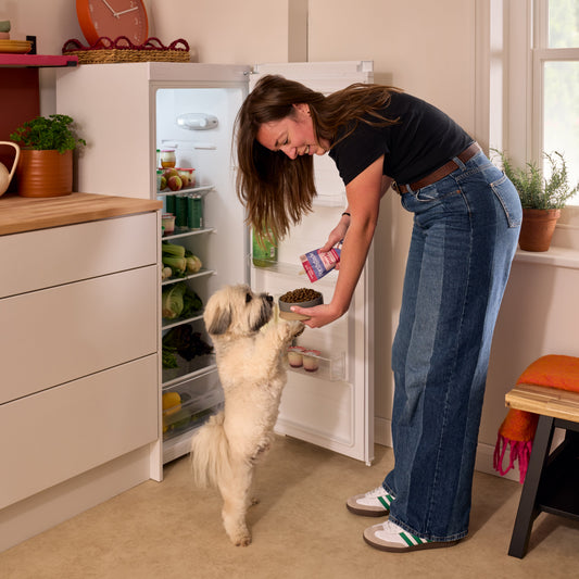 Forthglade juicy pork bone broth topper being poured over dry food for a dog