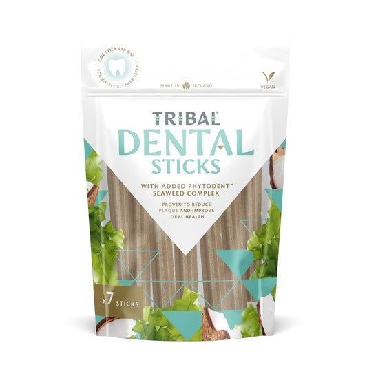 Tribal Dental Sticks Large