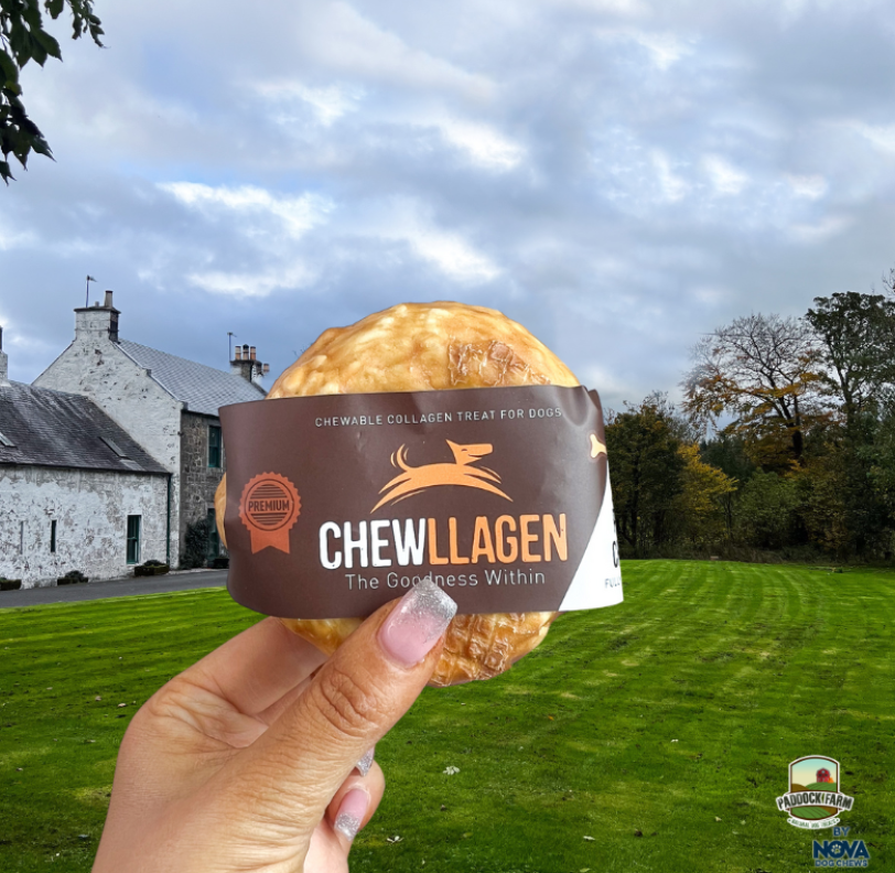 Chewllagen Chicken Donut