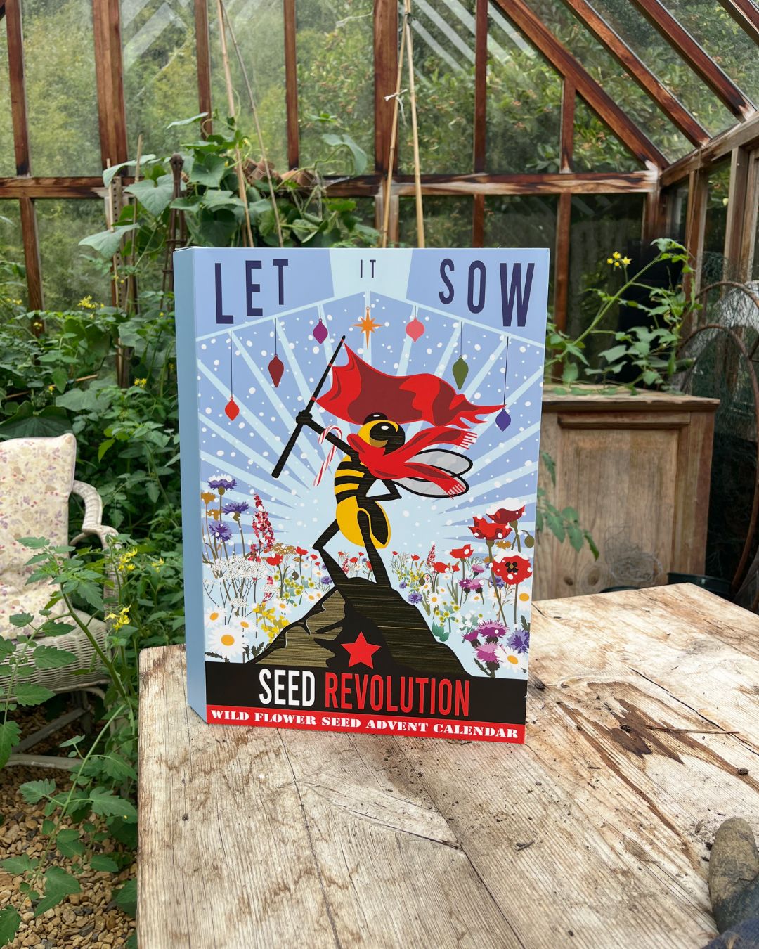 Seed Revolution Wild Flower Seed Advent Calendar