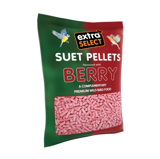 Extra Select Berry Suet Pellets 3kg