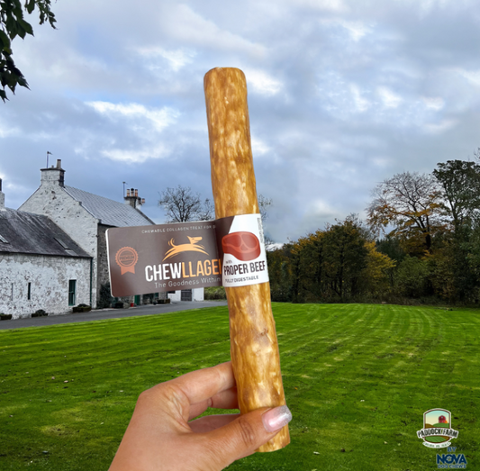 Chewllagen Beef Stick 10 inch