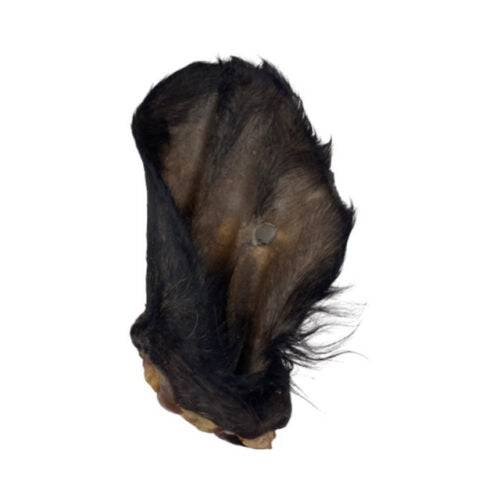 Hairy Cow Ears x 1
