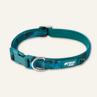 Twiggy Tags Adventure Collar Lagoon
