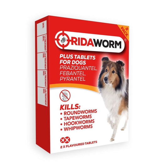 Ridaworm Plus worming tablets for dogs 2 pack