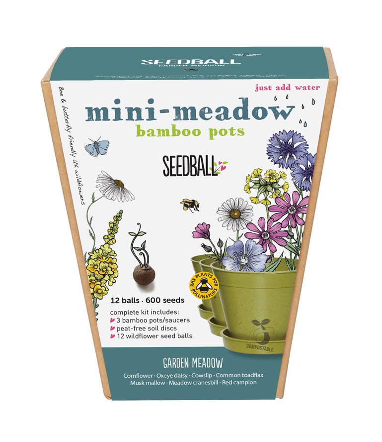 Seedball Meadow Pots - Garden Meadow